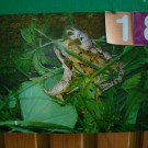 DSC05719