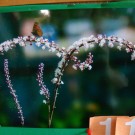 DSC05712
