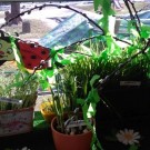 IMG_20180321_150458