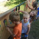 IMG-20180601-WA0012
