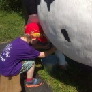 IMG_20190626_142340
