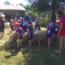 IMG_20190626_105128