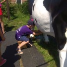 IMG_20190626_141956