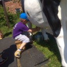 IMG_20190626_141811