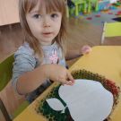 IMG20220922101211 (Niestandardowy)