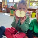 IMG-20221006-WA0004