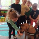 IMG-20221003-WA0043