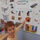 IMG-20221006-WA0063