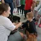 IMG20221003111617 (Niestandardowy)