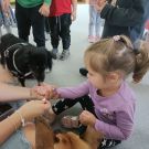 IMG20221003111740 (Niestandardowy)