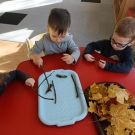 IMG20221103095239 (Niestandardowy)