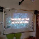 IMG20221116113717 (Niestandardowy)