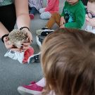 IMG20221118093626 (Niestandardowy)