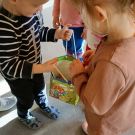 IMG20221122112300 (Niestandardowy)
