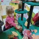 IMG20221201102336 (Niestandardowy)