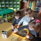 IMG20230113102021 (Niestandardowy)