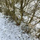 IMG20230206111846 (Niestandardowy)