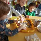 IMG20230113102506 (Niestandardowy)