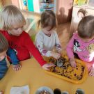 IMG20230113103003 (Niestandardowy)