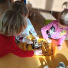 IMG20230113103029 (Niestandardowy)