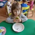 IMG20230308112636 (Niestandardowy)
