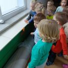 IMG20230406093256 (Niestandardowy)