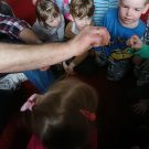 IMG20230412114403 (Niestandardowy)