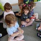 IMG20230421095350 (Niestandardowy)