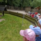 IMG20230606112014 (Niestandardowy)