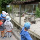 IMG20230606101518 (Niestandardowy)