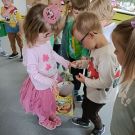 IMG20230613095550 (Niestandardowy)