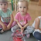 IMG20230628093651 (Niestandardowy)