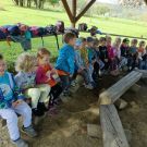 IMG20231011121444 (Niestandardowy)